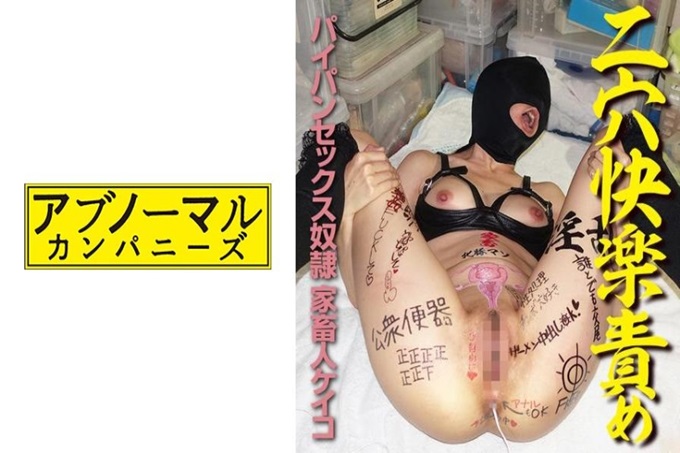 アブノーマルカンパニーズ ケイコ 1 发誓绝对隶属某个变态虐待狂的历史・被放置的以外界隔绝状态以手淫连续绝顶